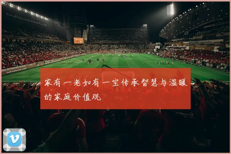 家有一老如有一宝传承智慧与温暖的家庭价值观
