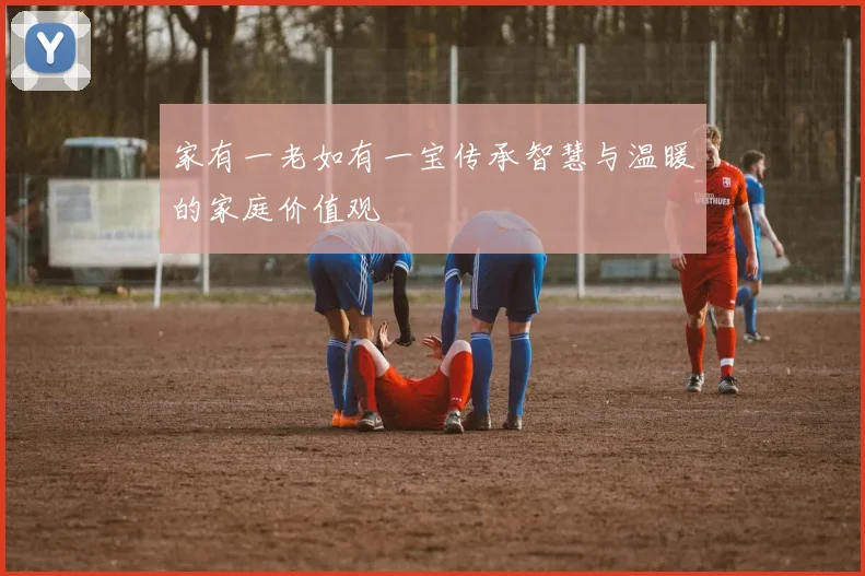 家有一老如有一宝传承智慧与温暖的家庭价值观