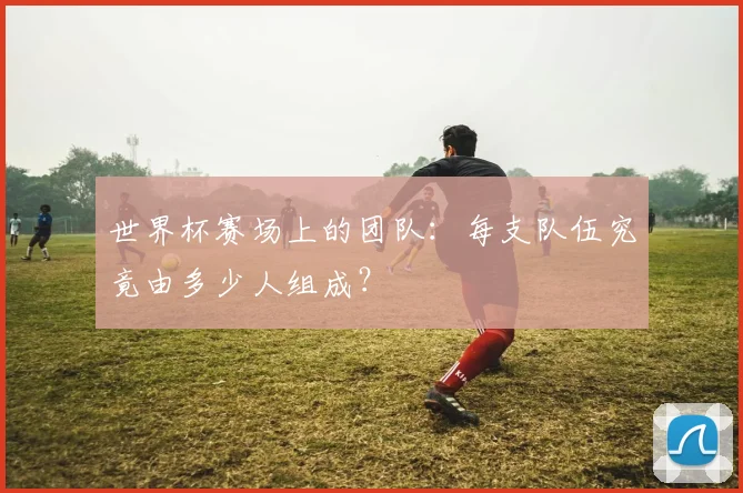世界杯赛场上的团队：每支队伍究竟由多少人组成？