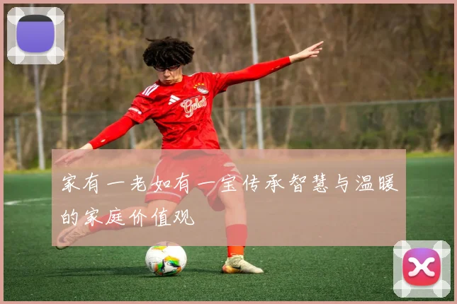 家有一老如有一宝传承智慧与温暖的家庭价值观
