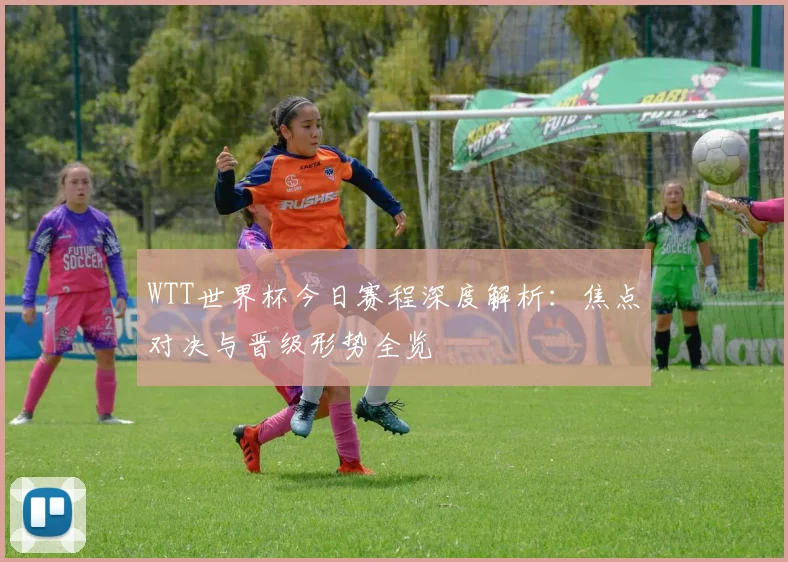 WTT世界杯今日赛程深度解析:焦点对决与晋级形势全览