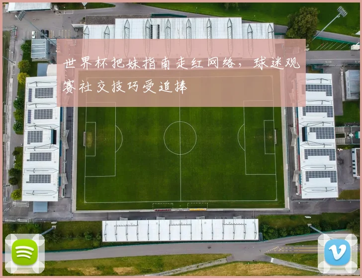 世界杯把妹指南走红网络，球迷观赛社交技巧受追捧