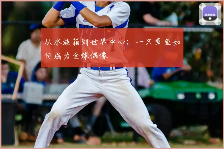 从水族箱到世界中心：一只章鱼如何成为全球偶像