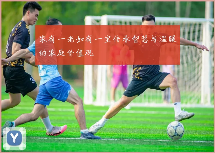 家有一老如有一宝传承智慧与温暖的家庭价值观