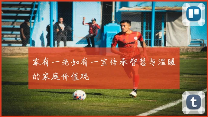 家有一老如有一宝传承智慧与温暖的家庭价值观