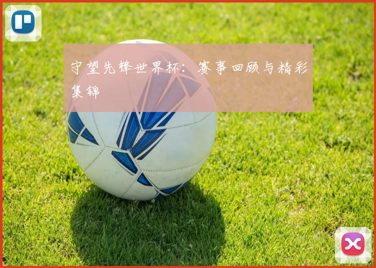 守望先锋世界杯：赛事回顾与精彩集锦