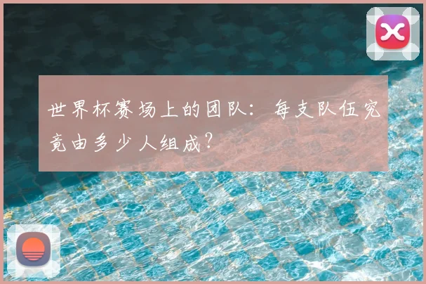 世界杯赛场上的团队：每支队伍究竟由多少人组成？