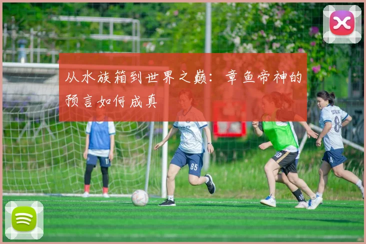 从水族箱到世界之巅：章鱼帝神的预言如何成真