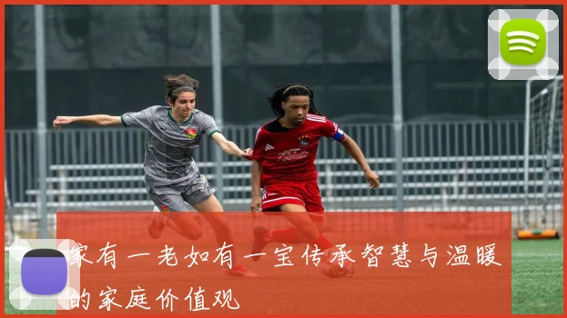 家有一老如有一宝传承智慧与温暖的家庭价值观