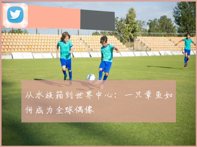从水族箱到世界中心：一只章鱼如何成为全球偶像