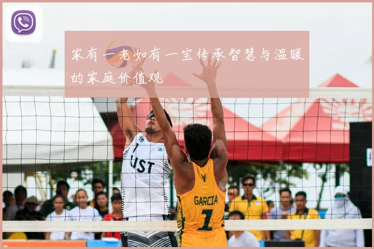 家有一老如有一宝传承智慧与温暖的家庭价值观