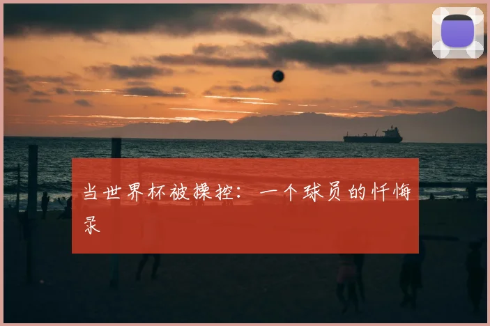 当世界杯被操控：一个球员的忏悔录