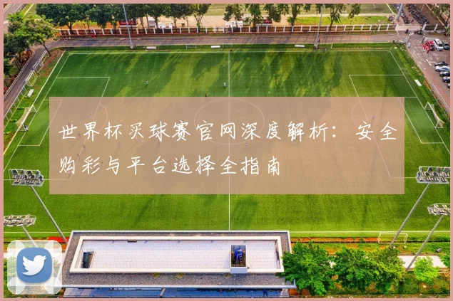 世界杯买球赛官网深度解析：安全购彩与平台选择全指南