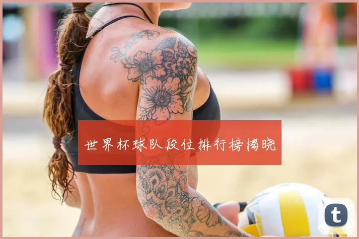 世界杯球队段位排行榜揭晓