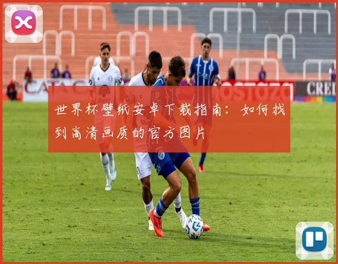 世界杯壁纸安卓下载指南：如何找到高清画质的官方图片